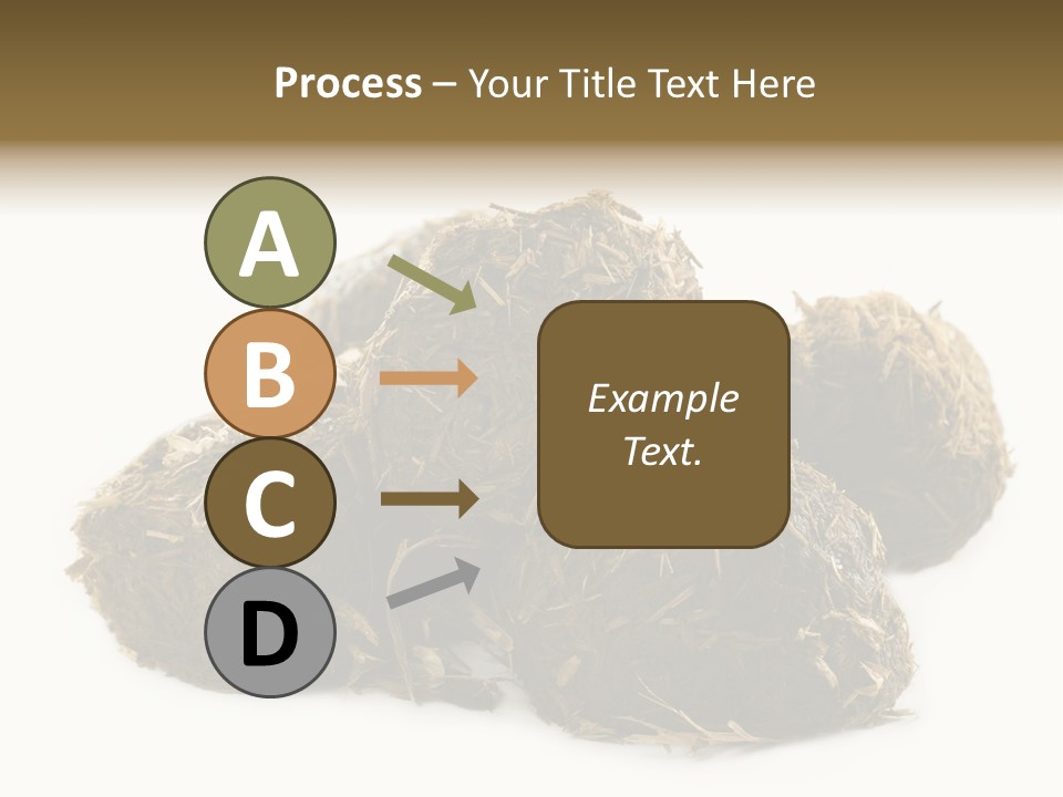 Safe Pack Architecture PowerPoint Template