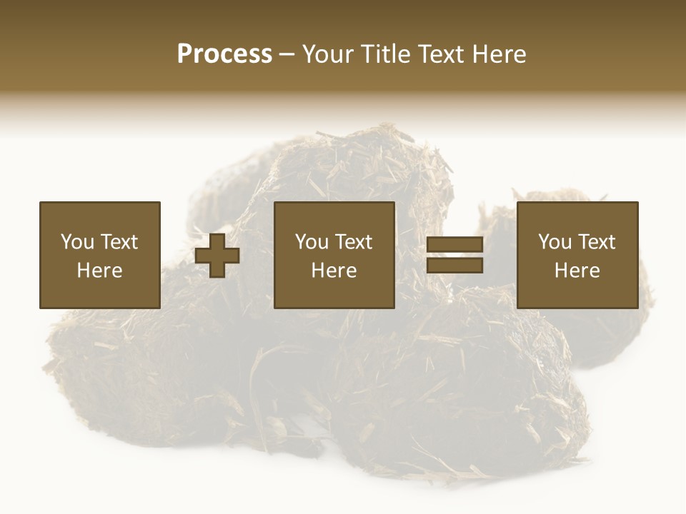 Safe Pack Architecture PowerPoint Template