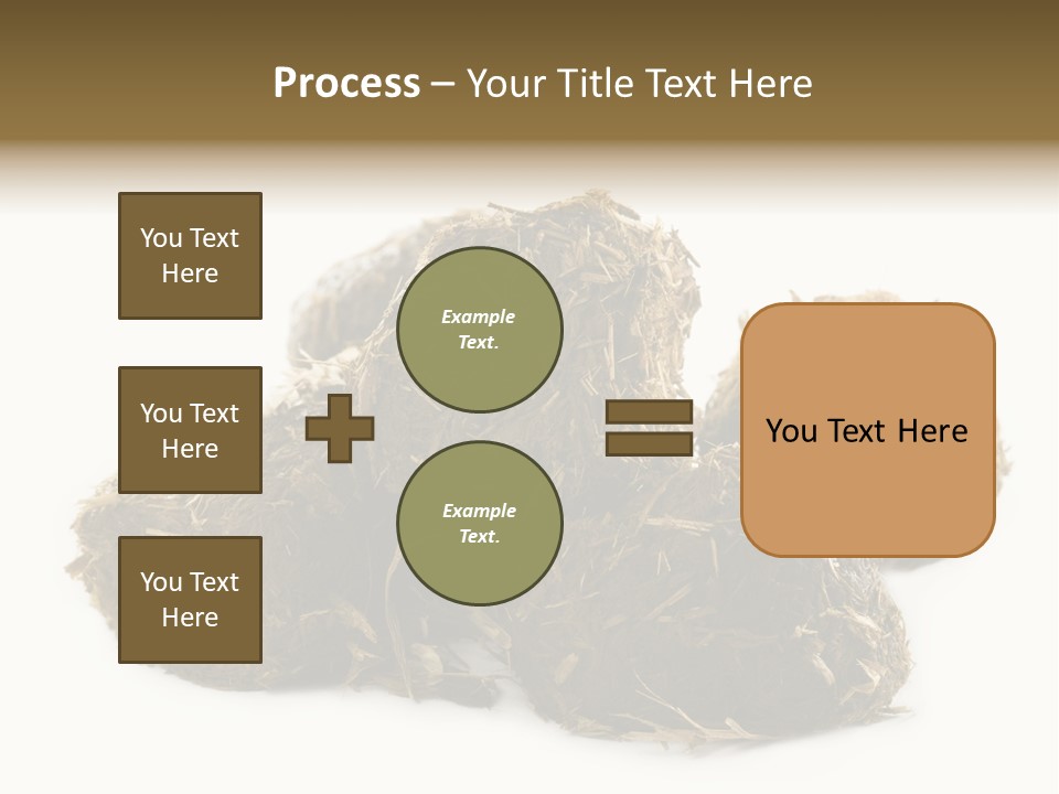 Safe Pack Architecture PowerPoint Template