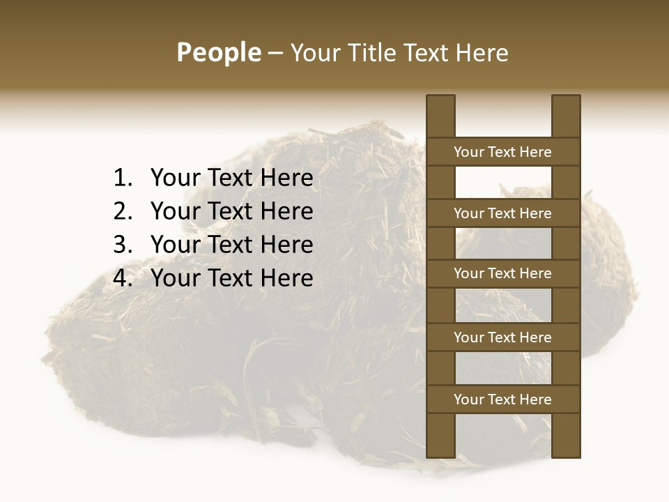 Safe Pack Architecture PowerPoint Template