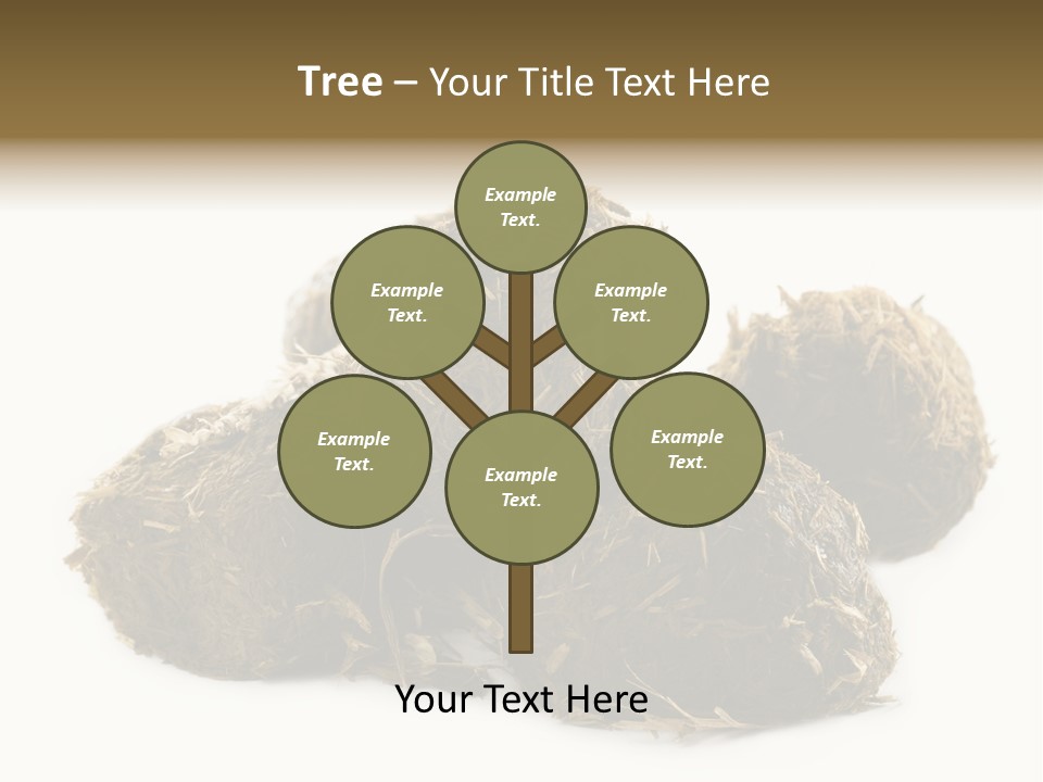 Safe Pack Architecture PowerPoint Template