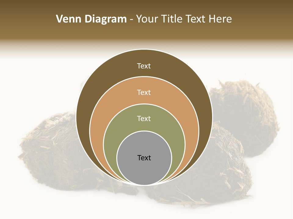 Safe Pack Architecture PowerPoint Template