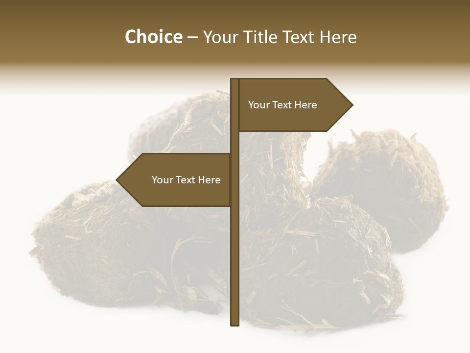 Safe Pack Architecture PowerPoint Template