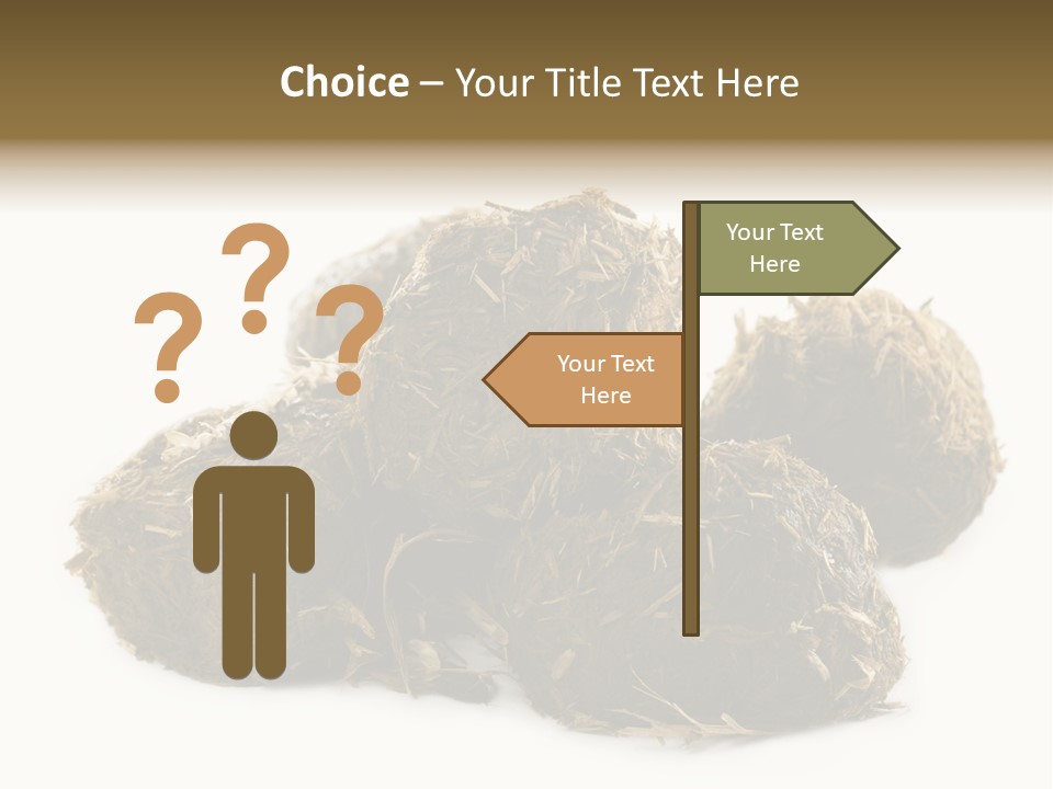 Safe Pack Architecture PowerPoint Template