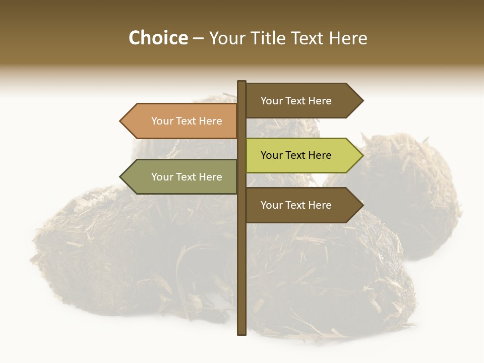 Safe Pack Architecture PowerPoint Template