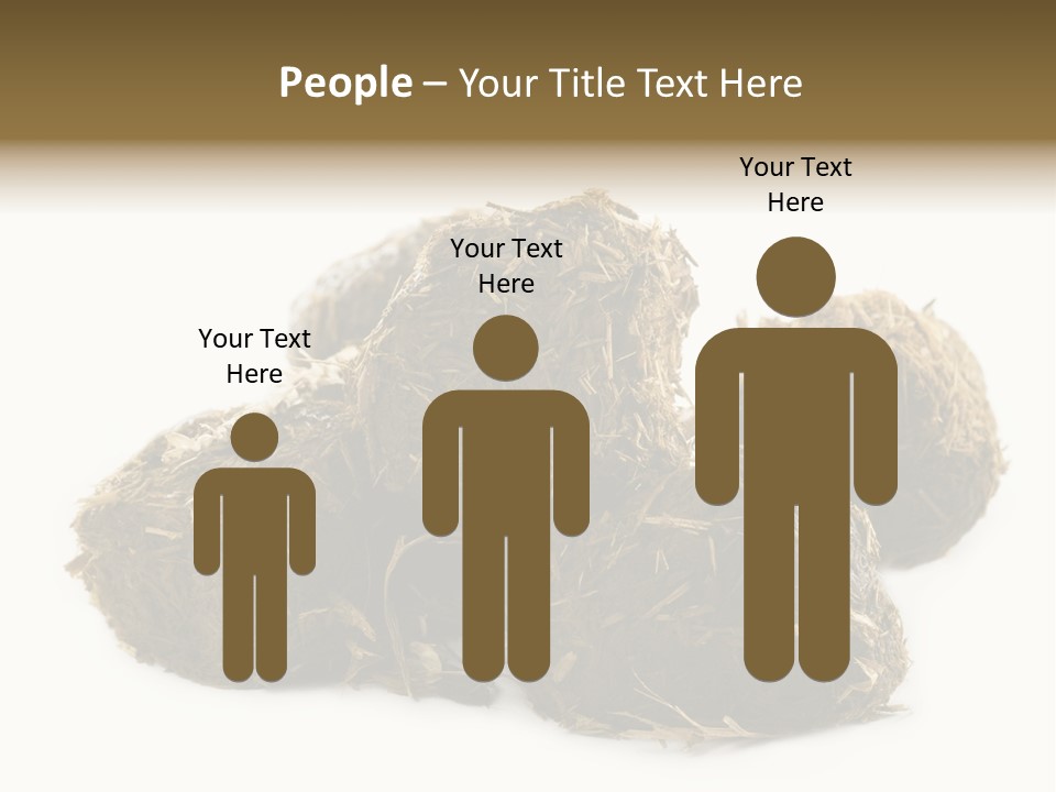 Safe Pack Architecture PowerPoint Template