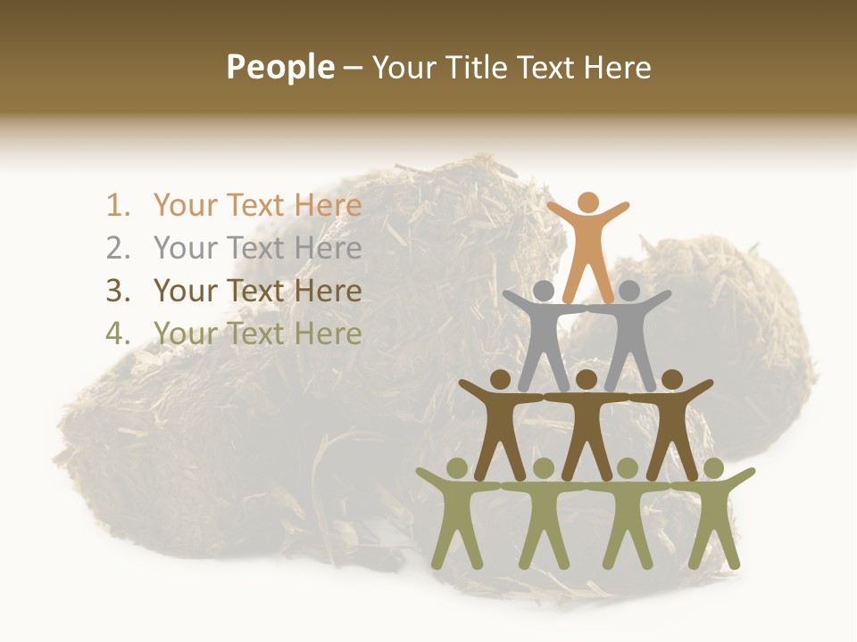 Safe Pack Architecture PowerPoint Template