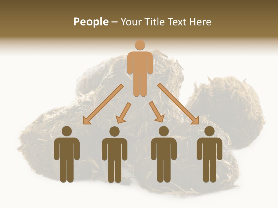 Safe Pack Architecture PowerPoint Template