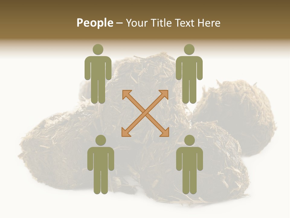 Safe Pack Architecture PowerPoint Template