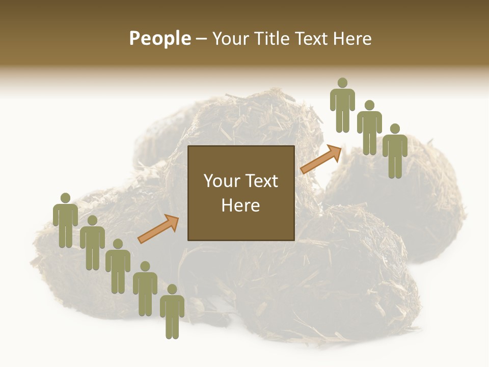 Safe Pack Architecture PowerPoint Template