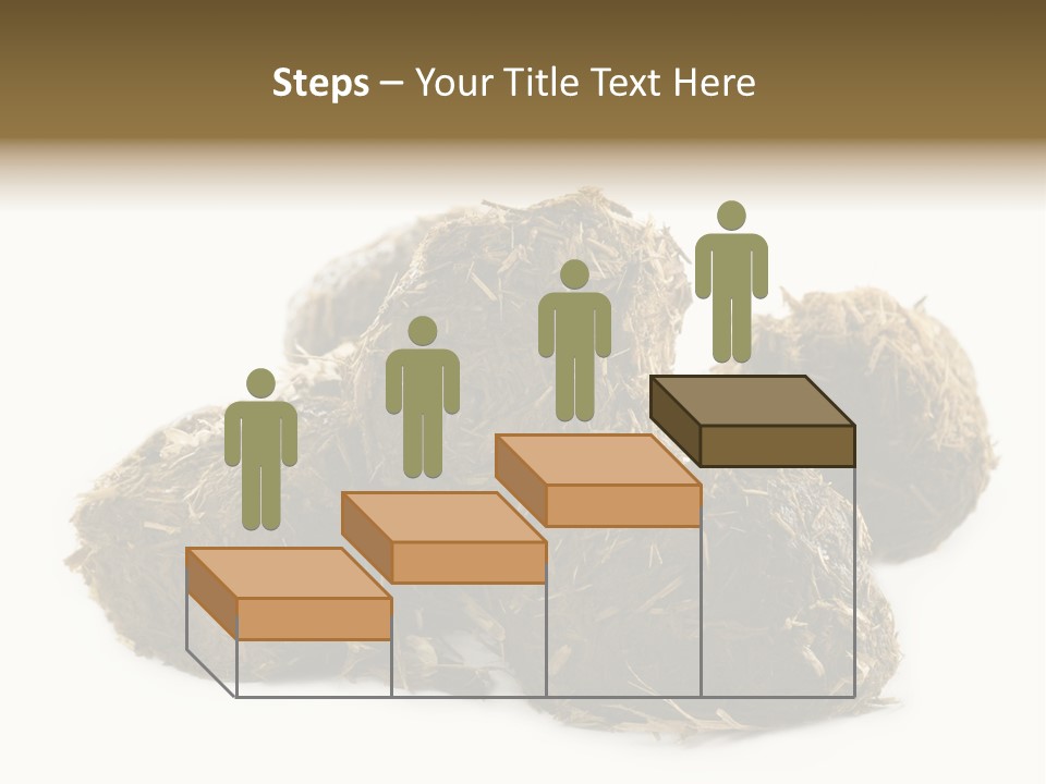 Safe Pack Architecture PowerPoint Template