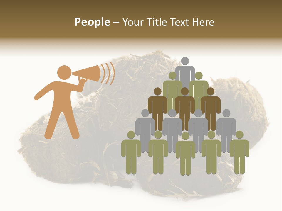 Safe Pack Architecture PowerPoint Template