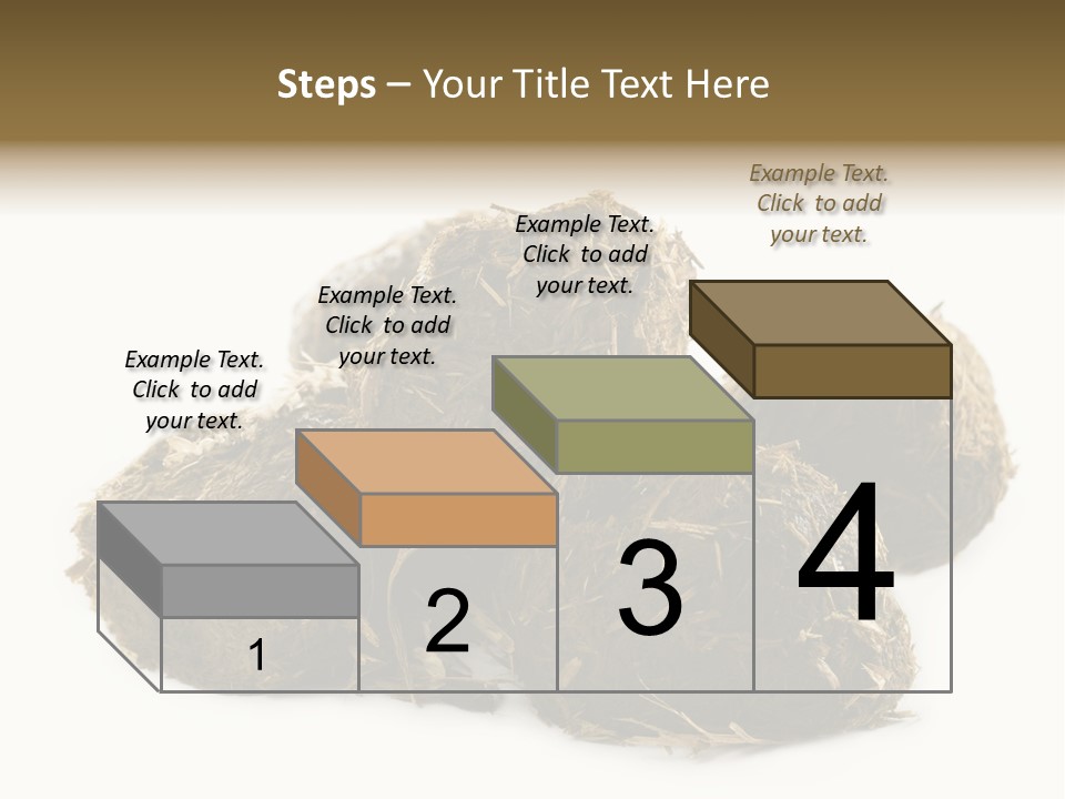 Safe Pack Architecture PowerPoint Template