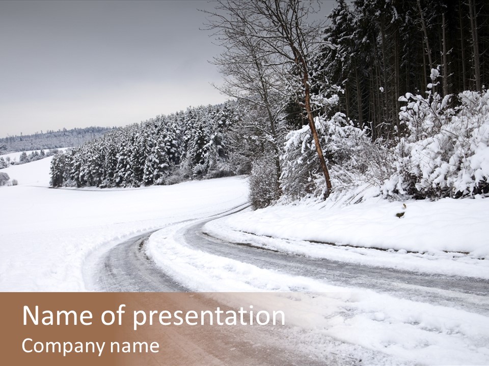Cold Branch Snow PowerPoint Template