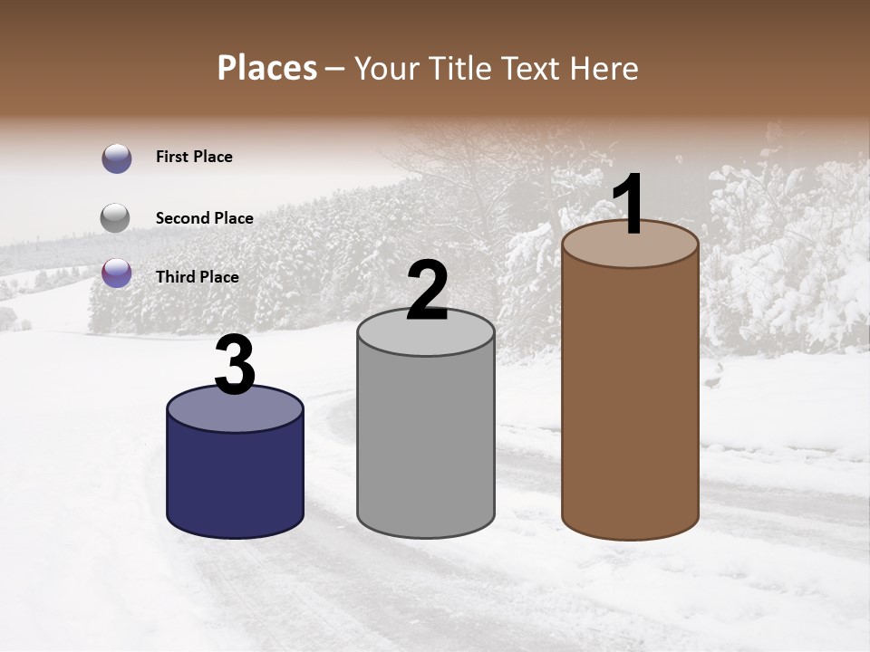 Cold Branch Snow PowerPoint Template