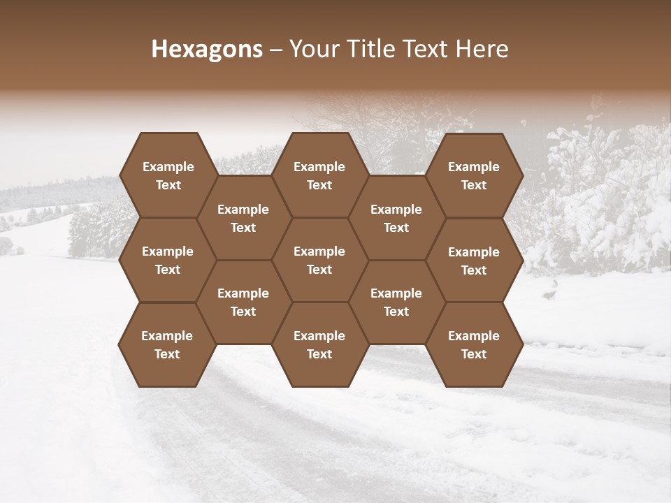 Cold Branch Snow PowerPoint Template