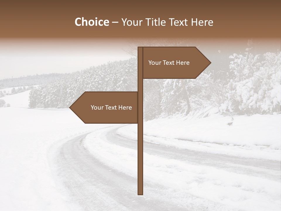 Cold Branch Snow PowerPoint Template