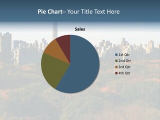 Central Thin Usa PowerPoint Template