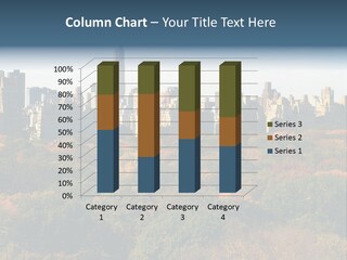 Central Thin Usa PowerPoint Template