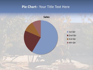 Pastoral Courtyard Turkey PowerPoint Template