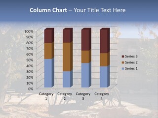 Pastoral Courtyard Turkey PowerPoint Template