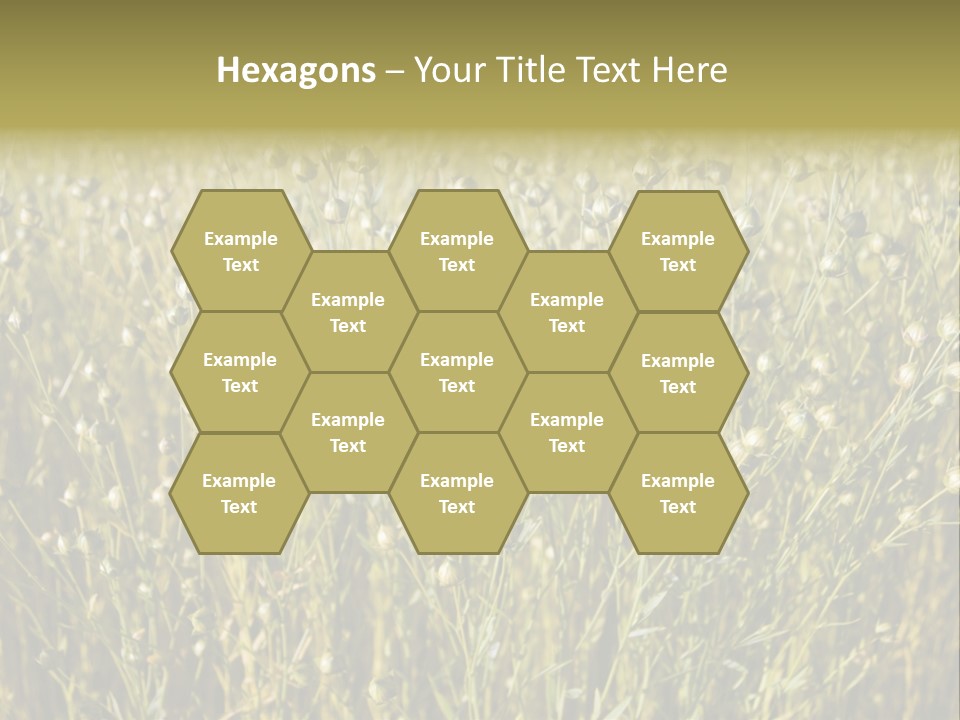 Plant Harvest Pasture PowerPoint Template