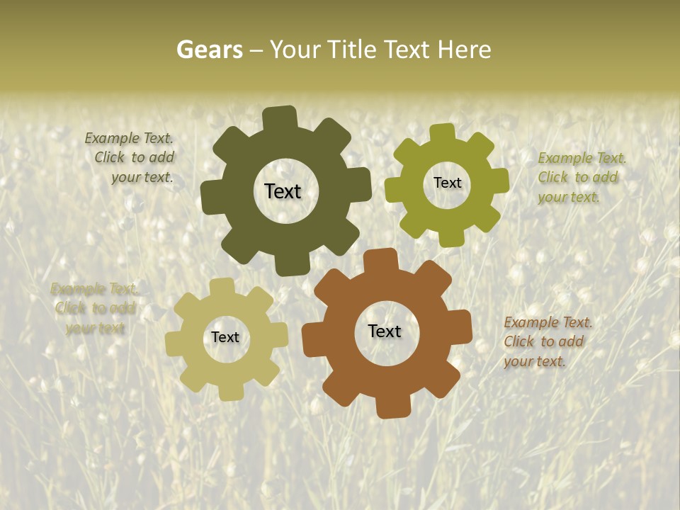 Plant Harvest Pasture PowerPoint Template