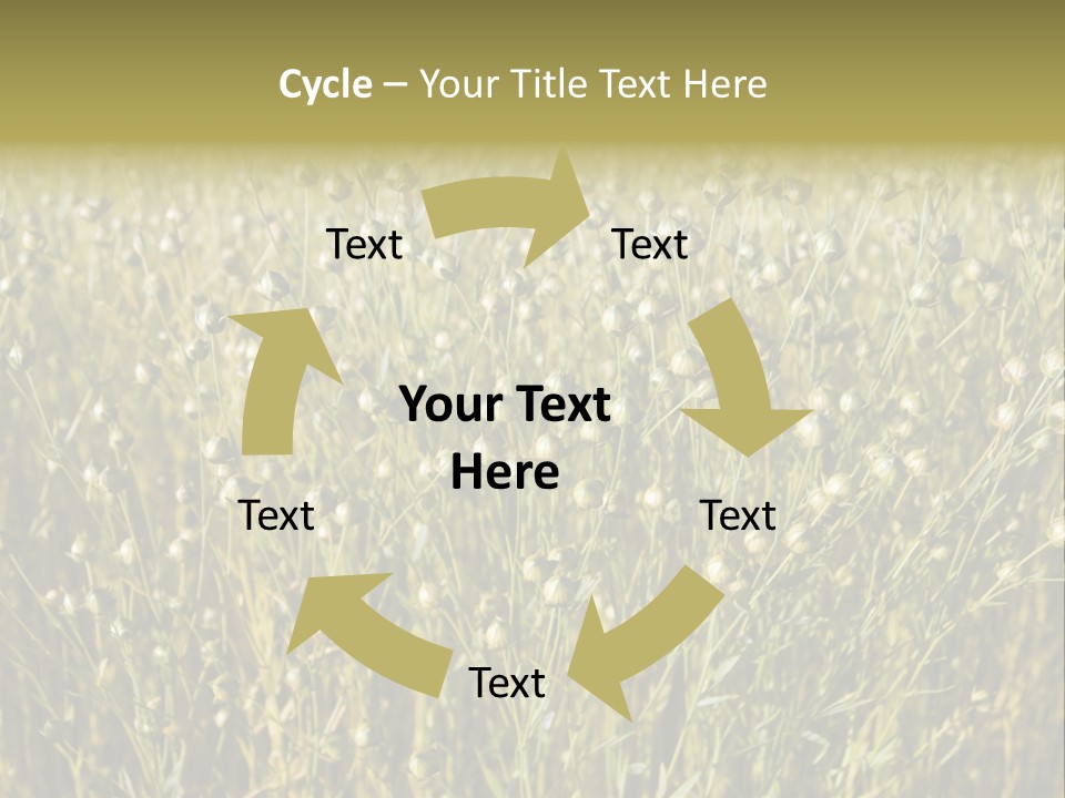 Plant Harvest Pasture PowerPoint Template