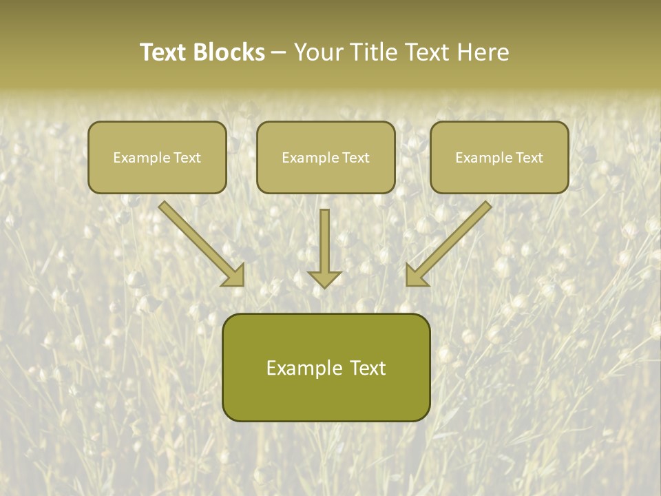 Plant Harvest Pasture PowerPoint Template