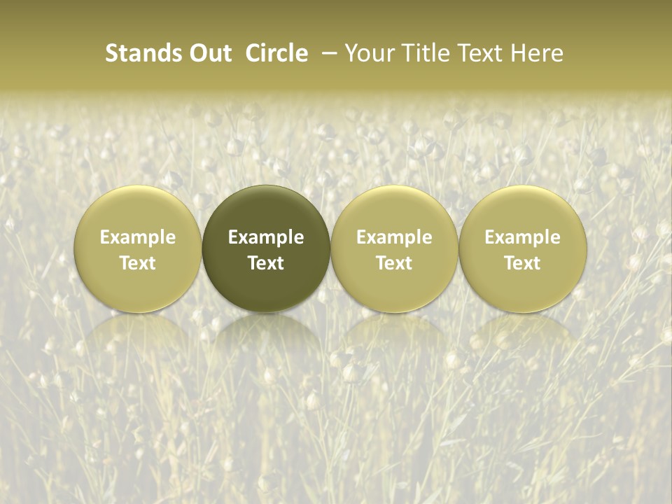 Plant Harvest Pasture PowerPoint Template