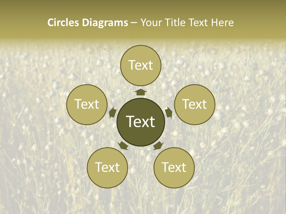 Plant Harvest Pasture PowerPoint Template