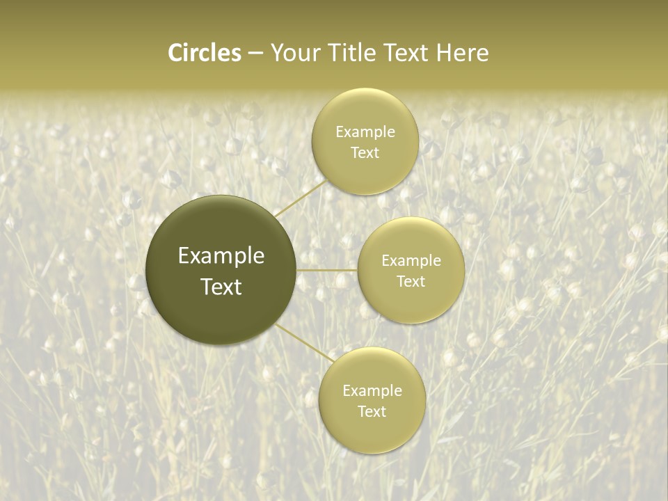 Plant Harvest Pasture PowerPoint Template
