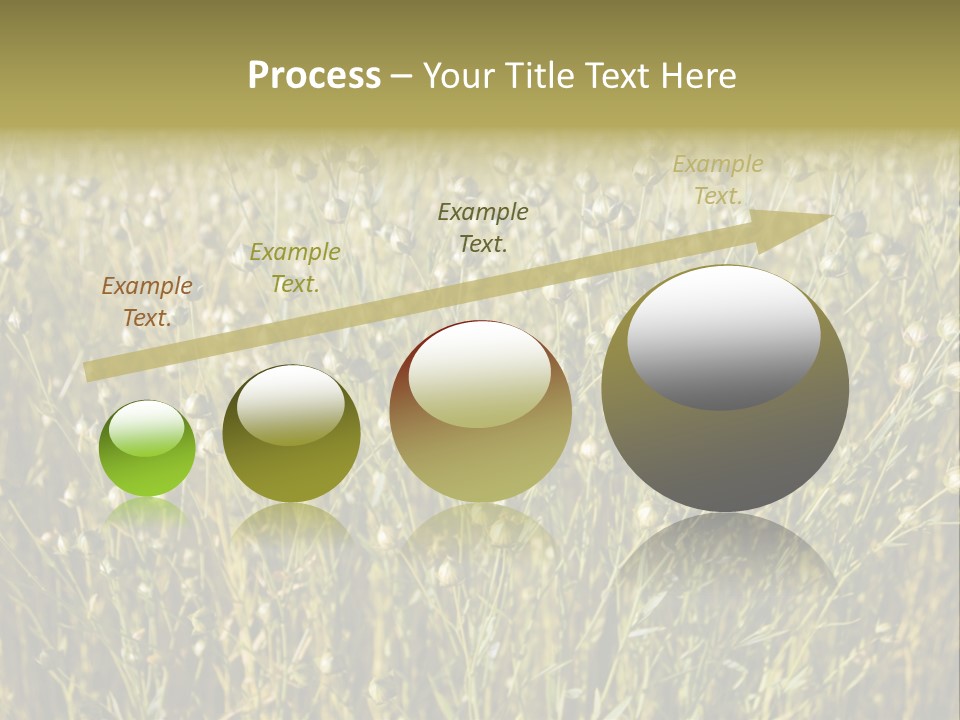 Plant Harvest Pasture PowerPoint Template