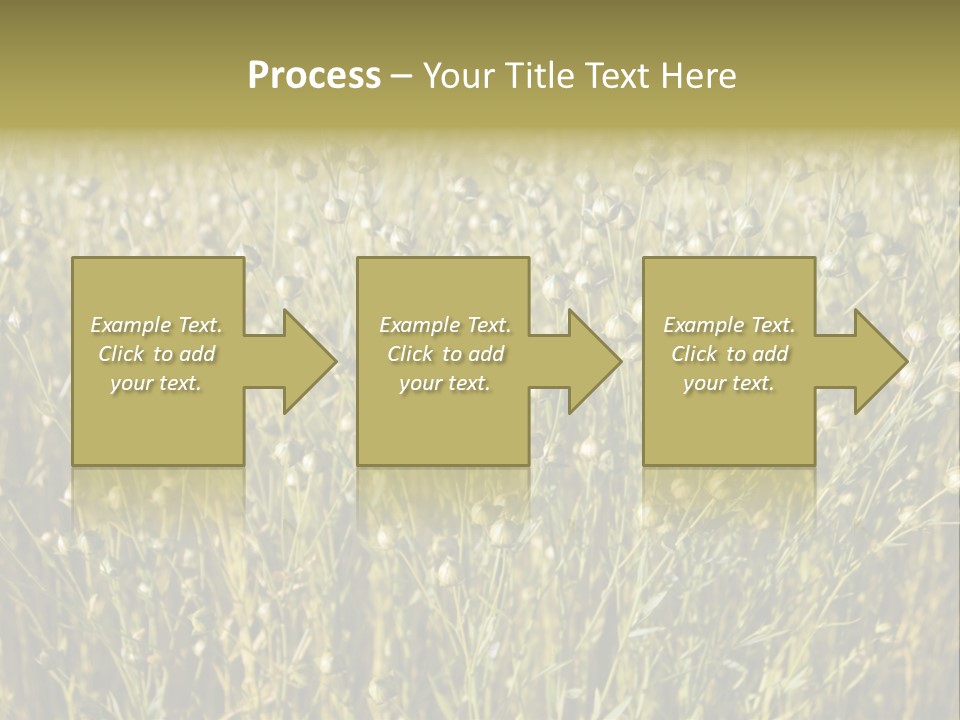 Plant Harvest Pasture PowerPoint Template