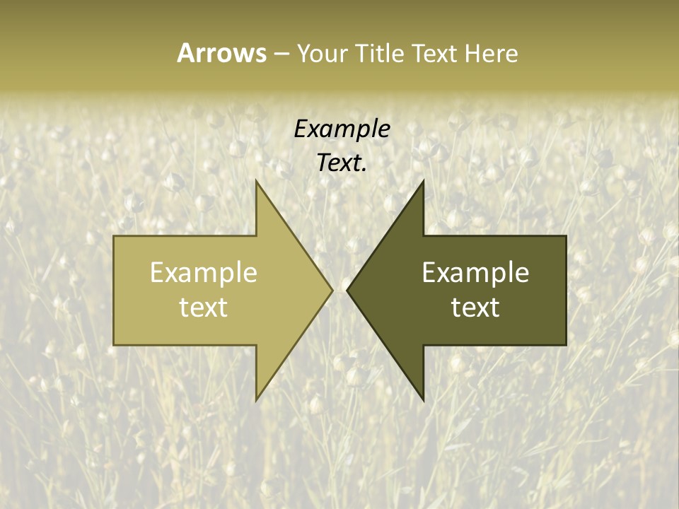 Plant Harvest Pasture PowerPoint Template