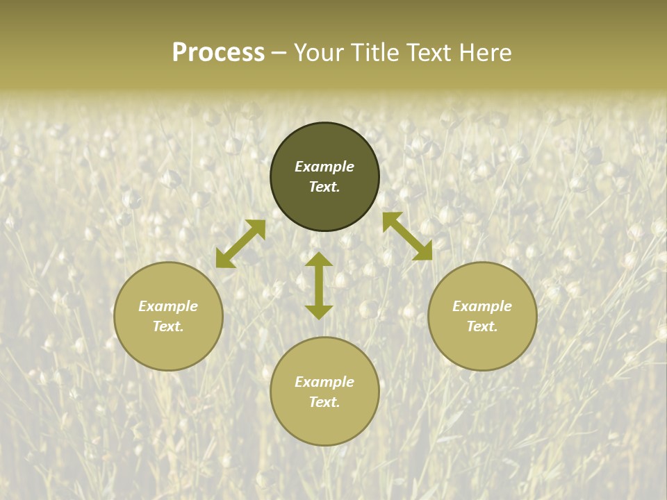 Plant Harvest Pasture PowerPoint Template