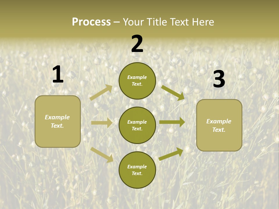 Plant Harvest Pasture PowerPoint Template