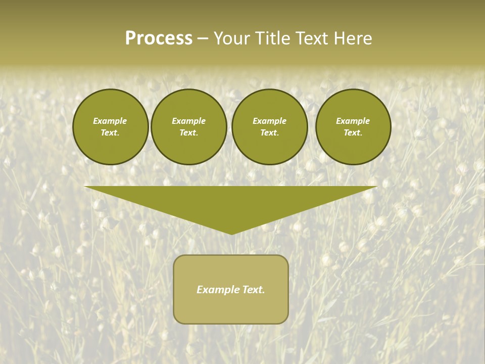 Plant Harvest Pasture PowerPoint Template