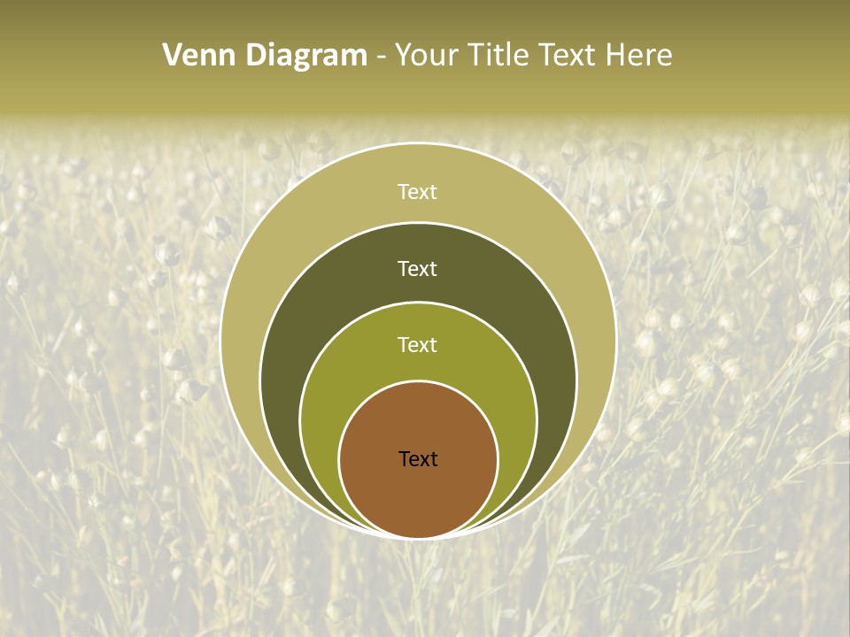 Plant Harvest Pasture PowerPoint Template
