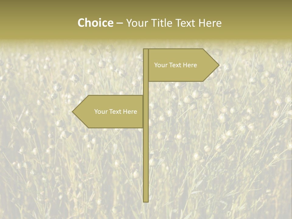 Plant Harvest Pasture PowerPoint Template