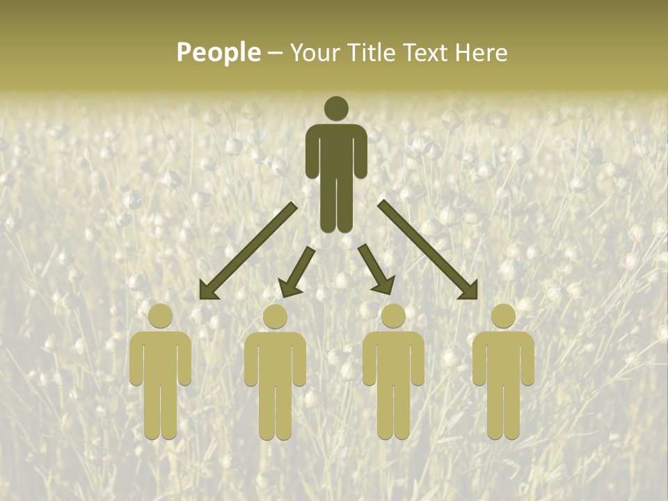 Plant Harvest Pasture PowerPoint Template