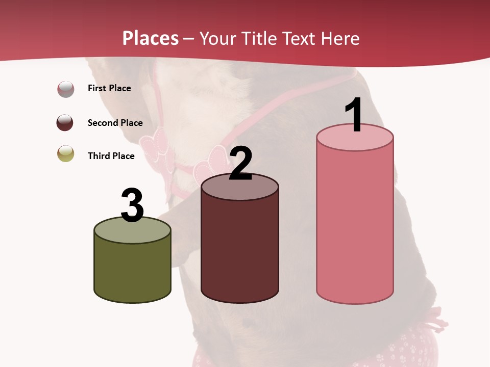 Bikini Wearing Funny PowerPoint Template