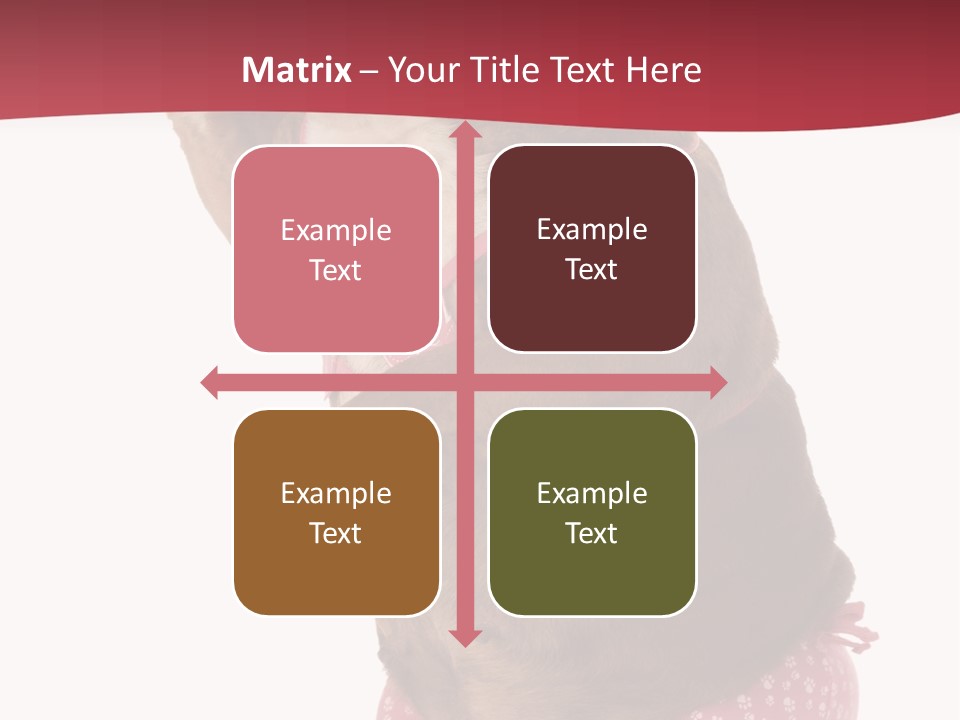 Bikini Wearing Funny PowerPoint Template