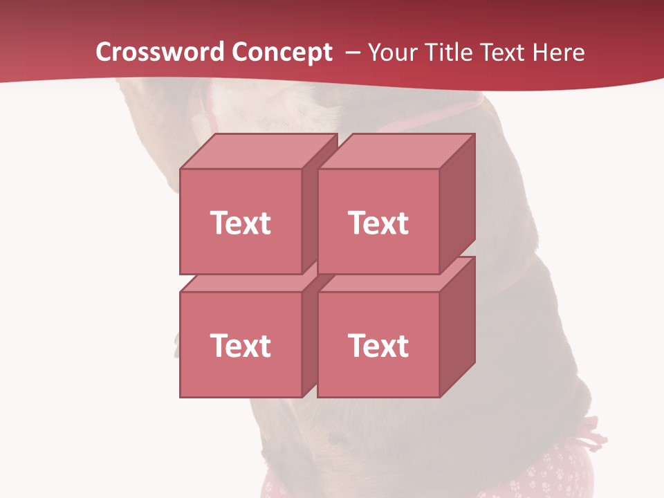 Bikini Wearing Funny PowerPoint Template