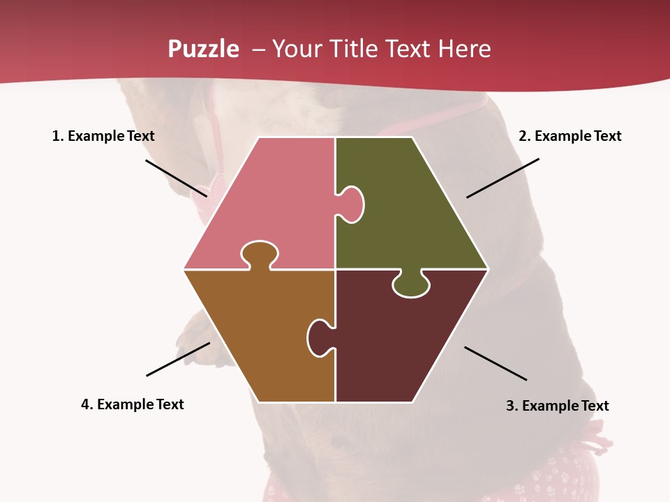 Bikini Wearing Funny PowerPoint Template