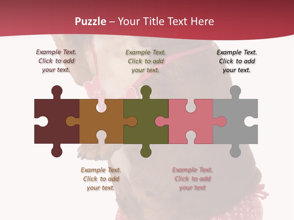 Bikini Wearing Funny PowerPoint Template