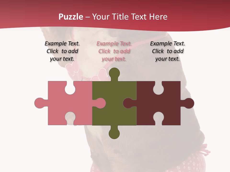 Bikini Wearing Funny PowerPoint Template