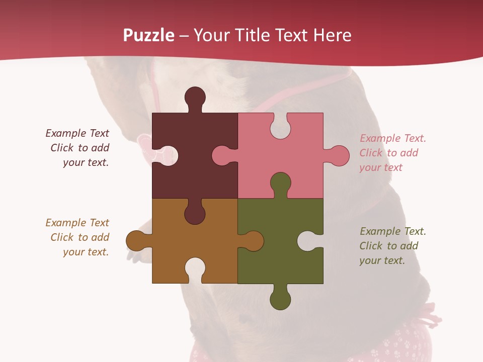 Bikini Wearing Funny PowerPoint Template