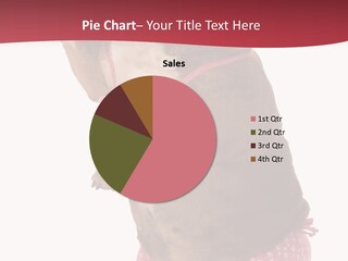 Bikini Wearing Funny PowerPoint Template