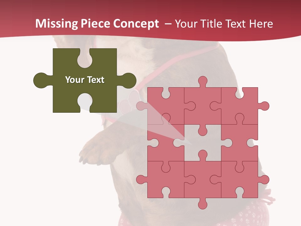 Bikini Wearing Funny PowerPoint Template